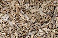 biomass boilers Tang